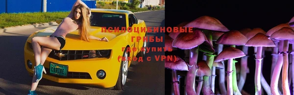 стафф Козельск