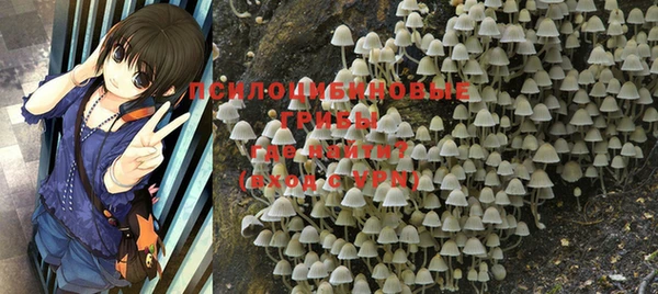 стафф Козельск