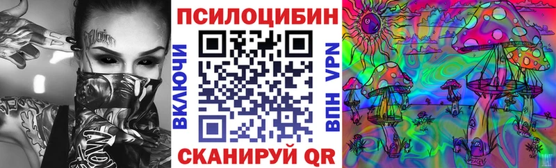 Псилоцибиновые грибы мухоморы Купить где Кизилюрт